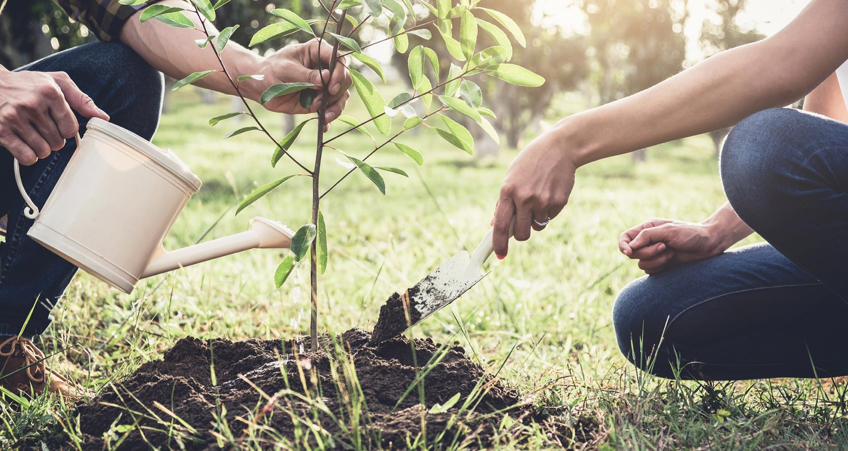 Nous vous proposons d’être acteurs du changement